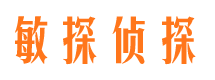 临沭市私家侦探